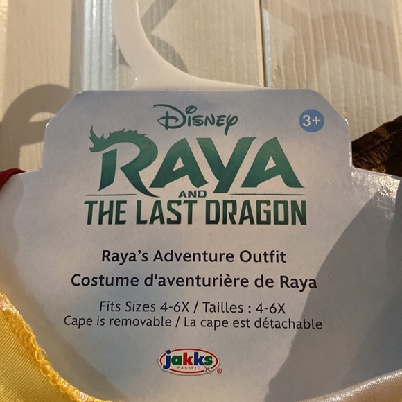 Disney Raya and The Last Dragon Adventure Outfit Halloween Costume Size 4-6X - Picture 3 of 13